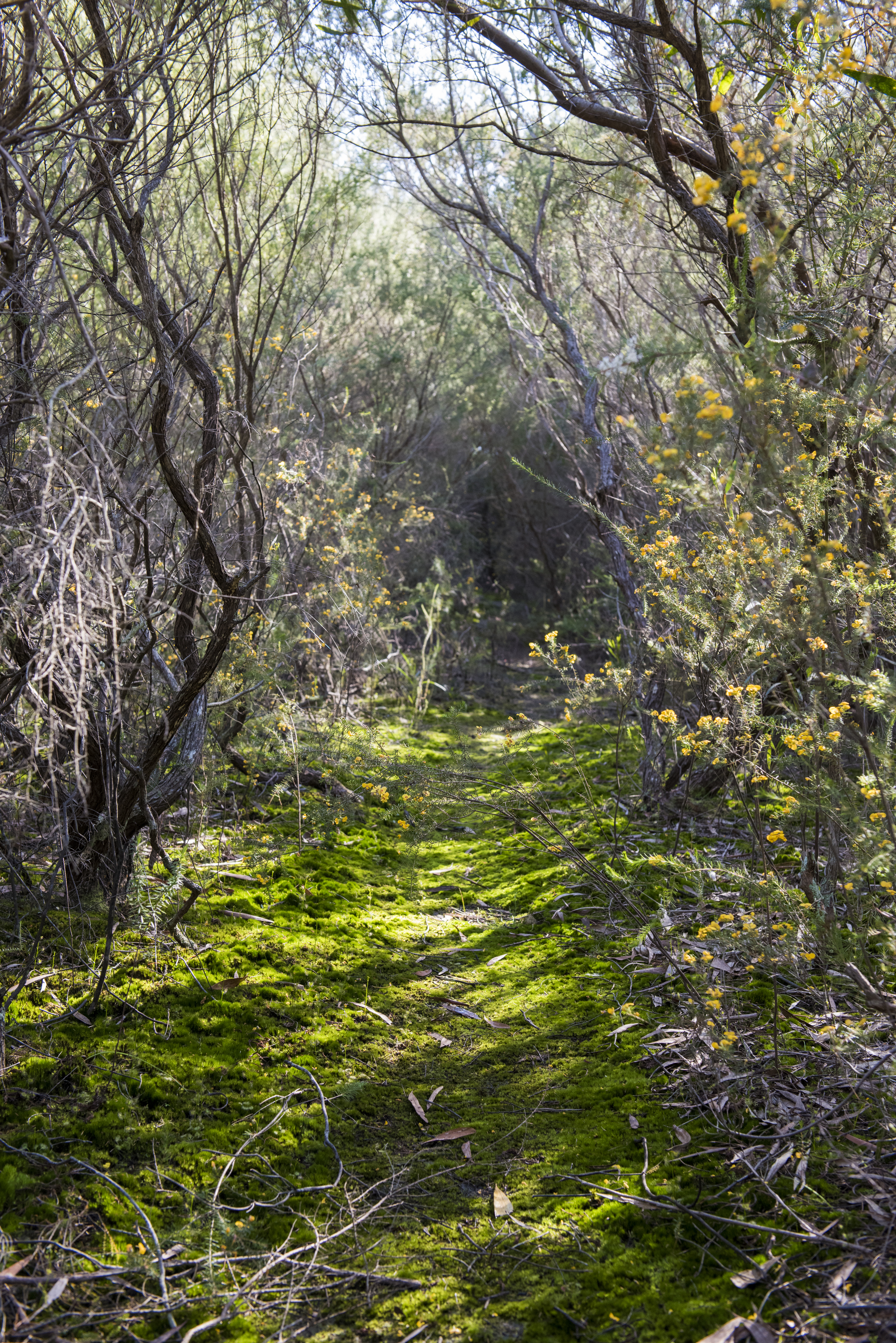 Environment Bardwell Valley